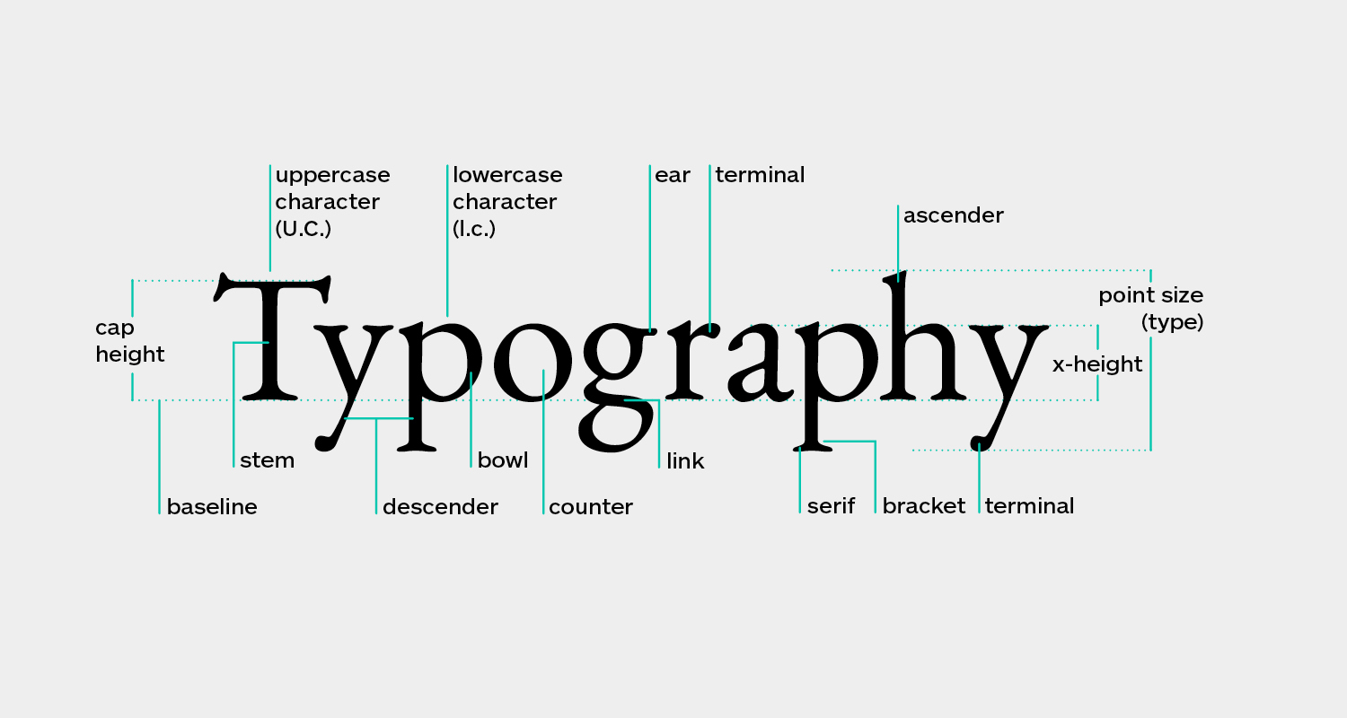 The Anatomy of Typography